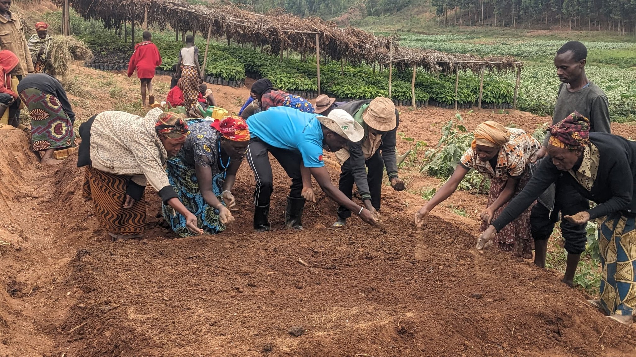Community garden project